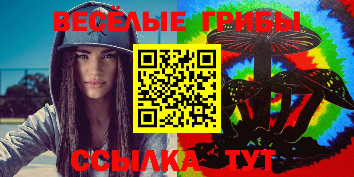Кирово-Чепецк  Псилоцибиновые грибы прущие грибы  Вход с VPN 