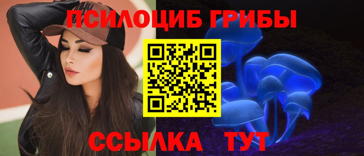 Галлюциногенные грибы Magic Shrooms Кирово-Чепецк
